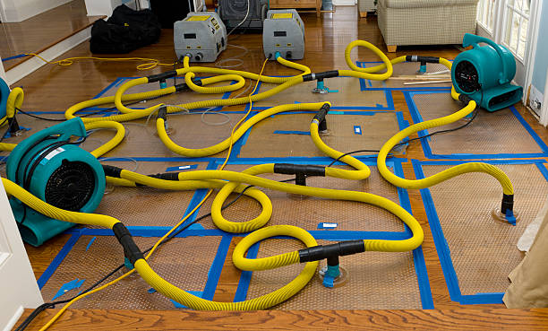 Professional Crawl Space Water Removal technician working in Waunakee, WI